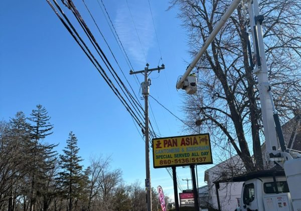 tree trimmen captian